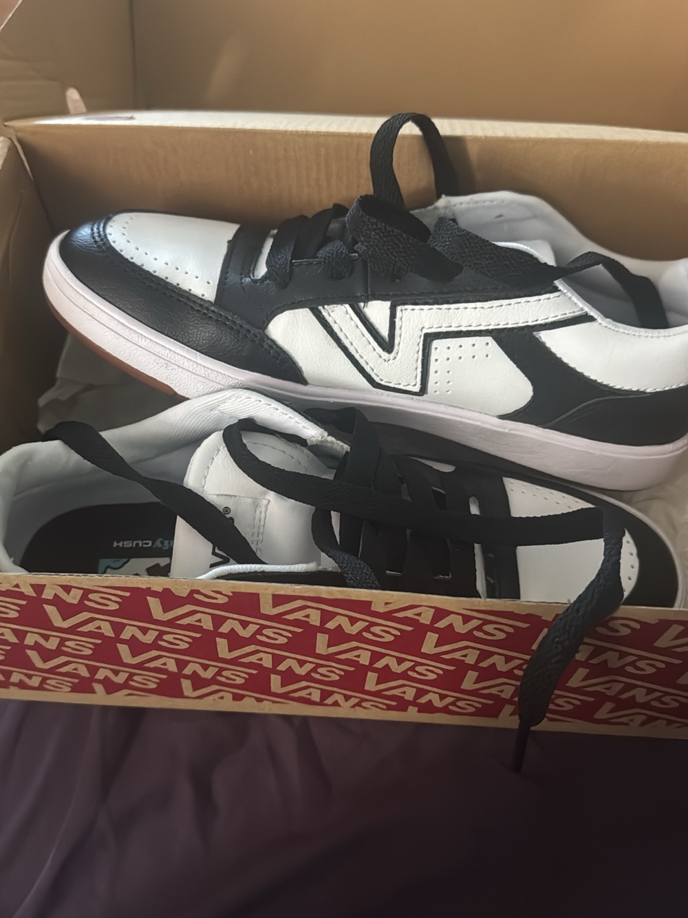 Vans Black & White Low-Top Sneakers